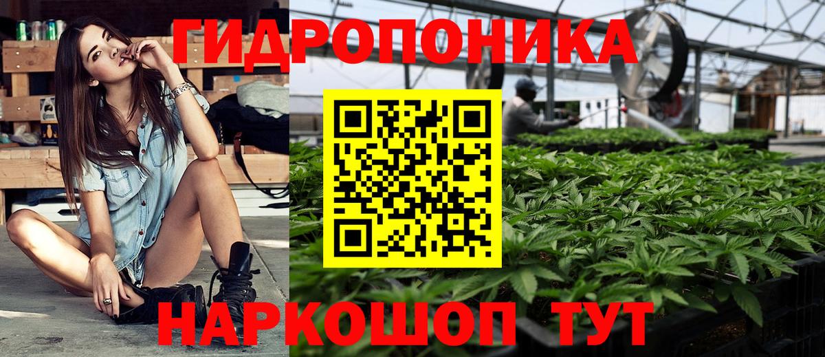 Всеволожск  Шишки марихуана VHQ  Вход с VPN  Канабис план  Бошки марихуана Amnesia 